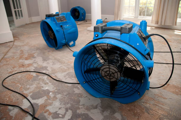 Best Mold removal after water damage  in Calcium, NY