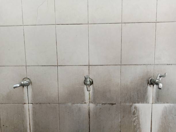 Best 24-hour water damage restoration  in Calcium, NY