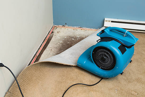 Best 24/7 water damage repair  in Calcium, NY